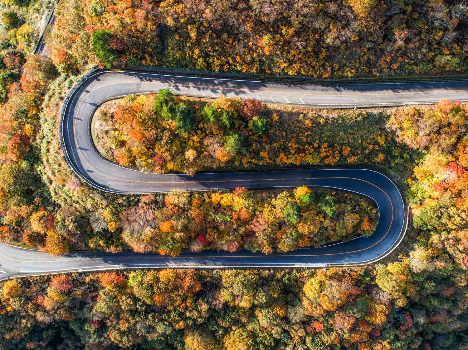 Aerial winding mountain road in autumn