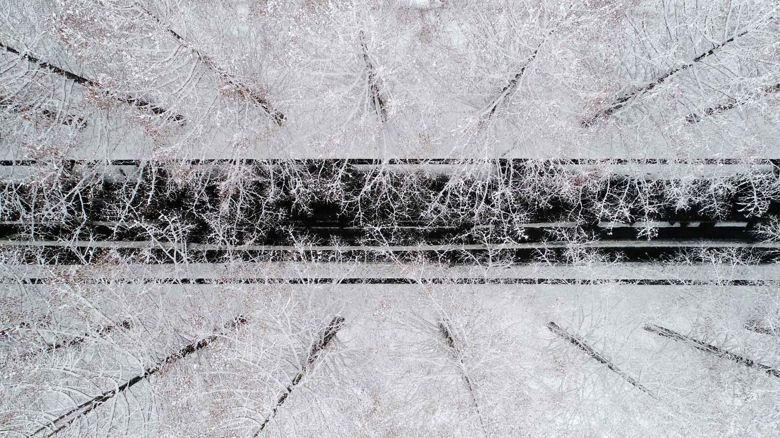 Aerial view of a snow-covered forest