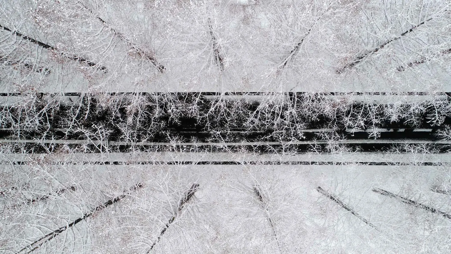 Aerial view of a snow-covered forest