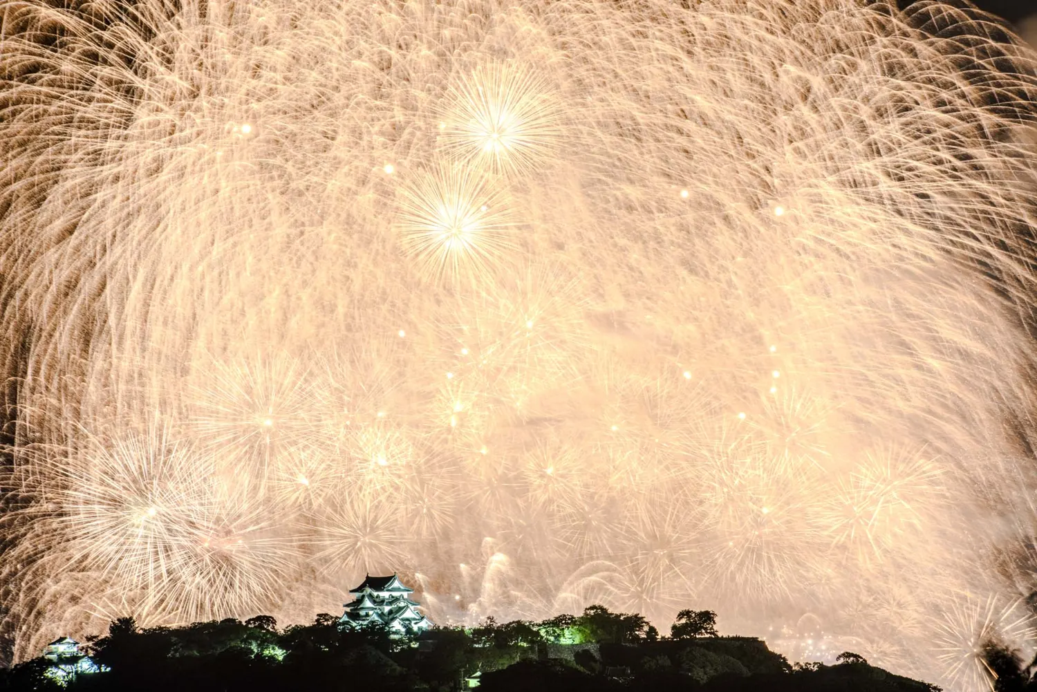 A large white firework blooming in the night