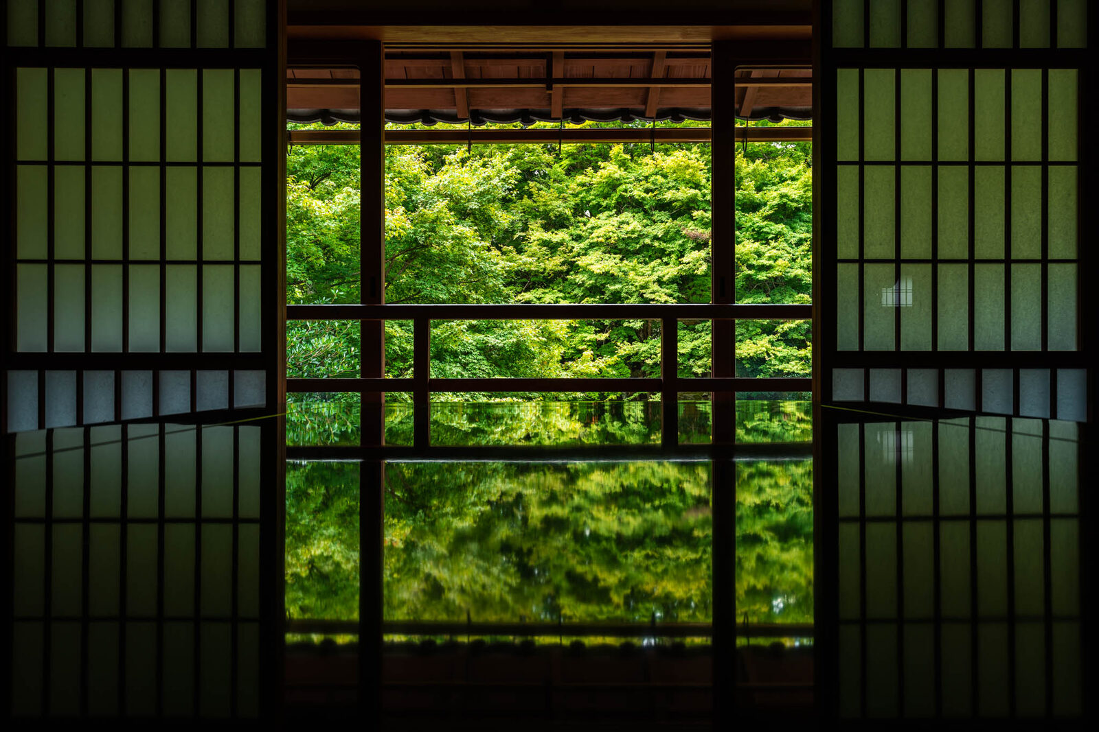 Fresh green garden seen from a tatami room