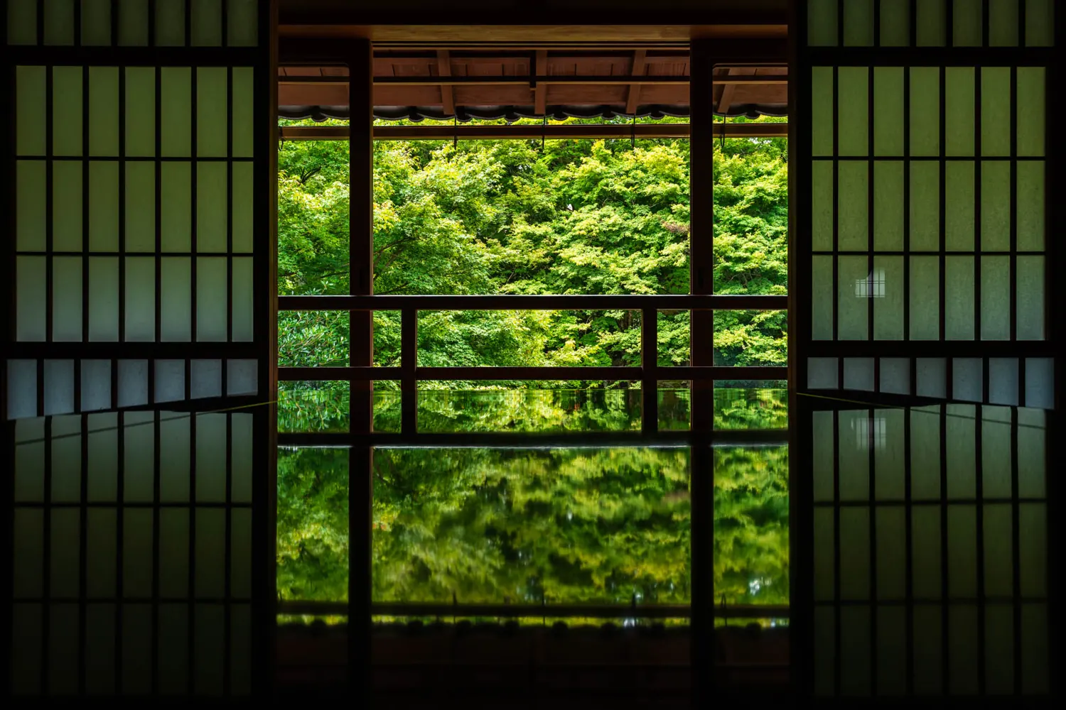 Fresh green garden seen from a tatami room