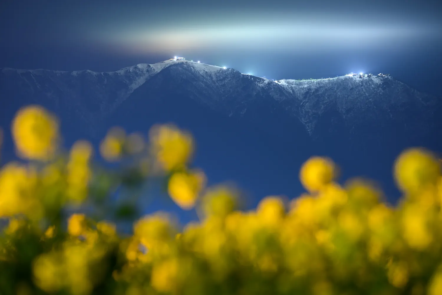 Field of rape blossoms below a mountain