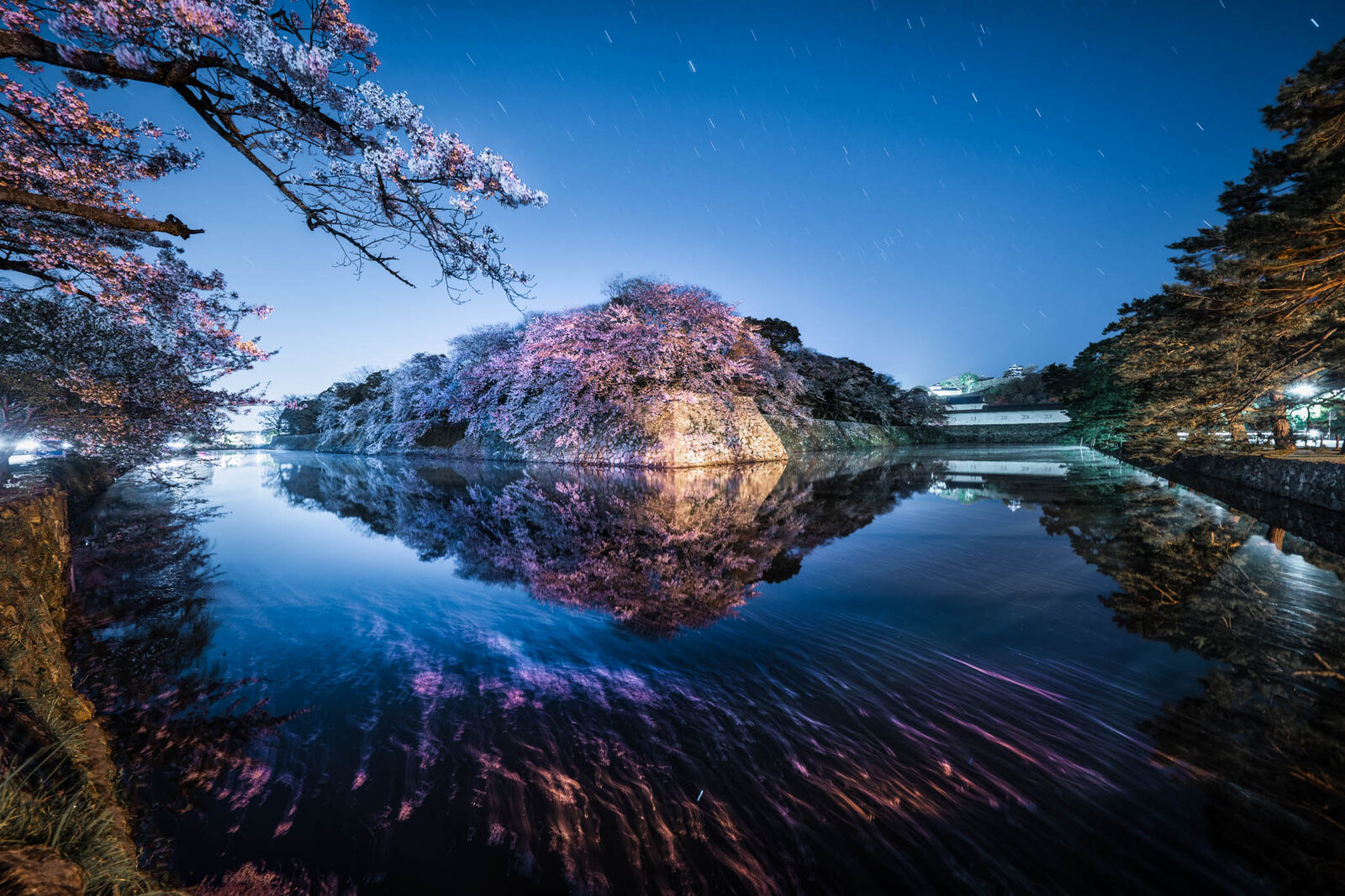 Cherry blossoms reflected in still water
